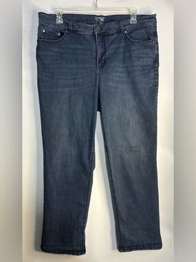 Terra & Sky Denim Straight Jeans Size 20W